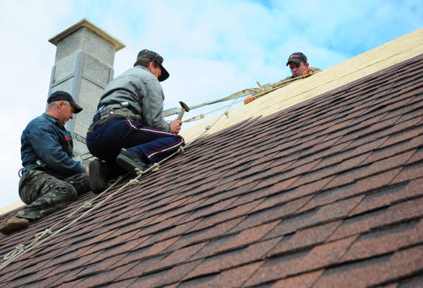 Best Roof Repair Services  in Stockton, MO